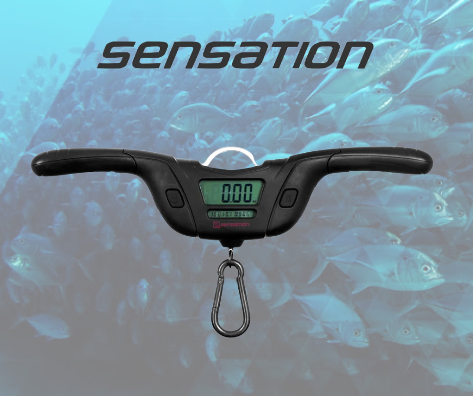 SENSATION T-BAR 50KG DIGITAL SCALE