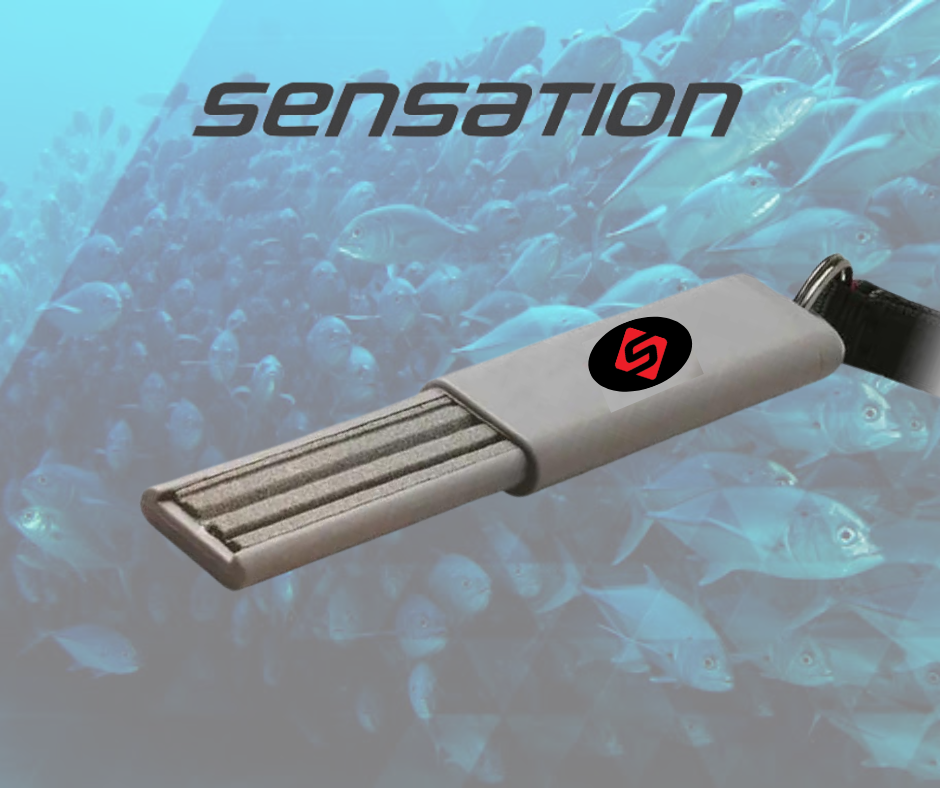 SENSATION TOOL HOOK SHARPENER