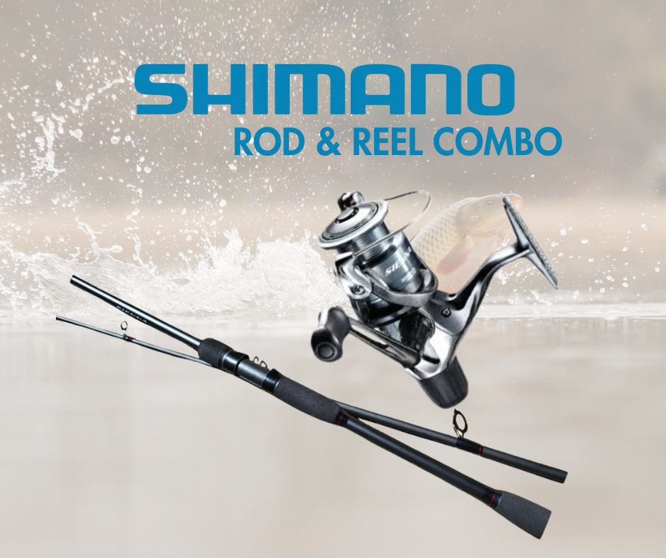 SHIMANO COMBO SIENNA 4000