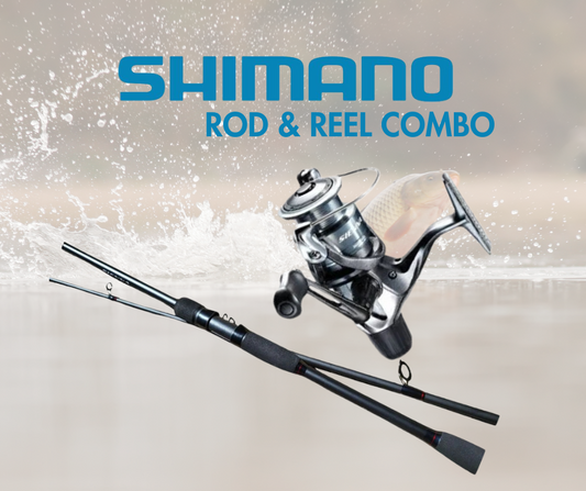 SHIMANO COMBO SIENNA 4000
